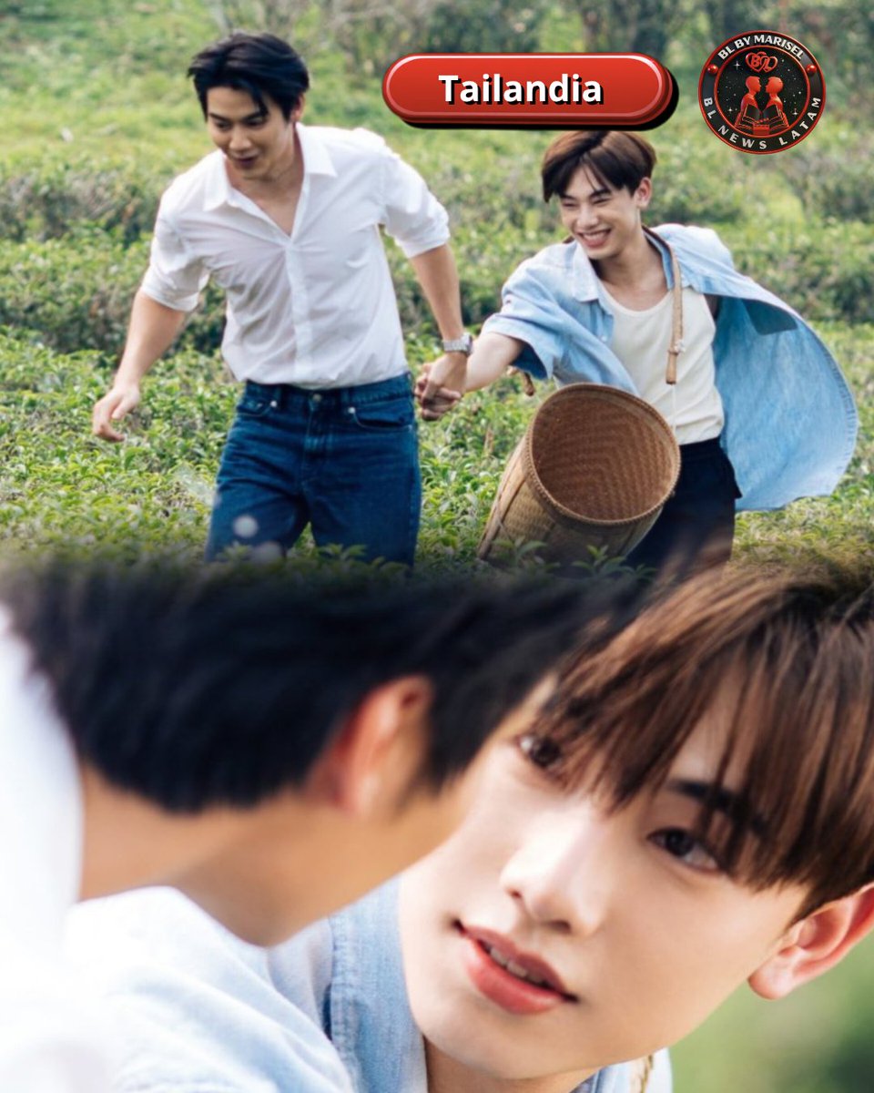 BL NEWS LATAM🎬📽🎞📄😄❤️‍🔥 tweet media