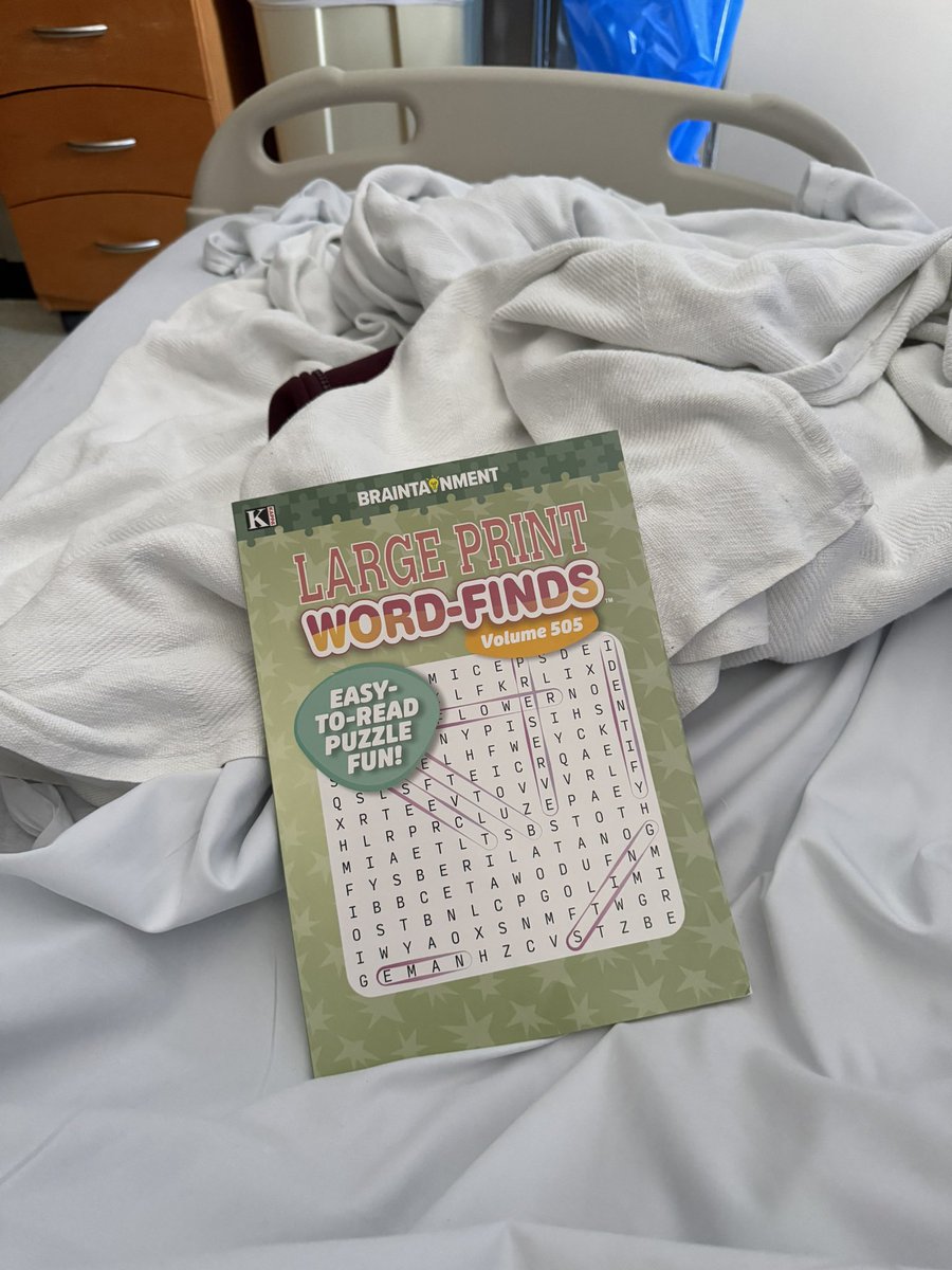 lady red sox tweet media