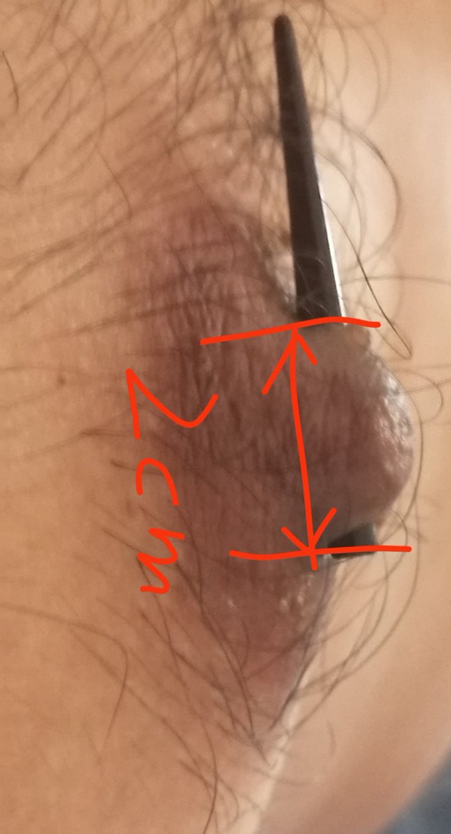 性瘾傻逼手淫爷们(青岛)🤪🧠💪🏻👊🏻🦶🚽🐢👄👌👅🧀🍌🍆 tweet media