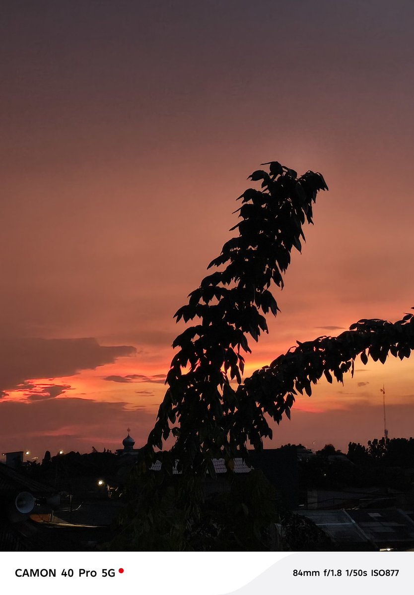 Somaa_lakaata tweet media