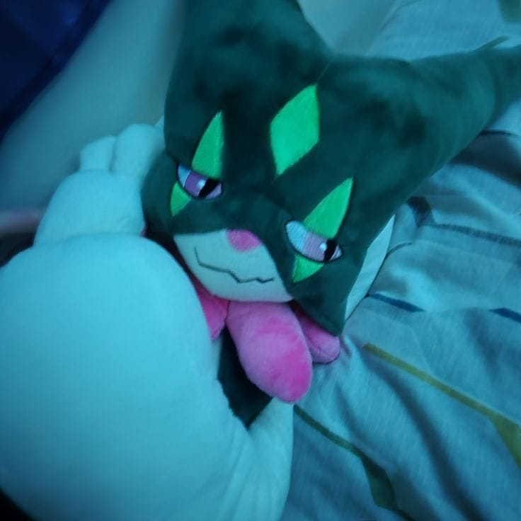 【𝟵𝟬𝟴】𝘔𝘦𝘰𝘸𝘳𝘪𝘫𝘶𝘢𝘯𝘺𝘢 ~ °❀⋆. tweet media