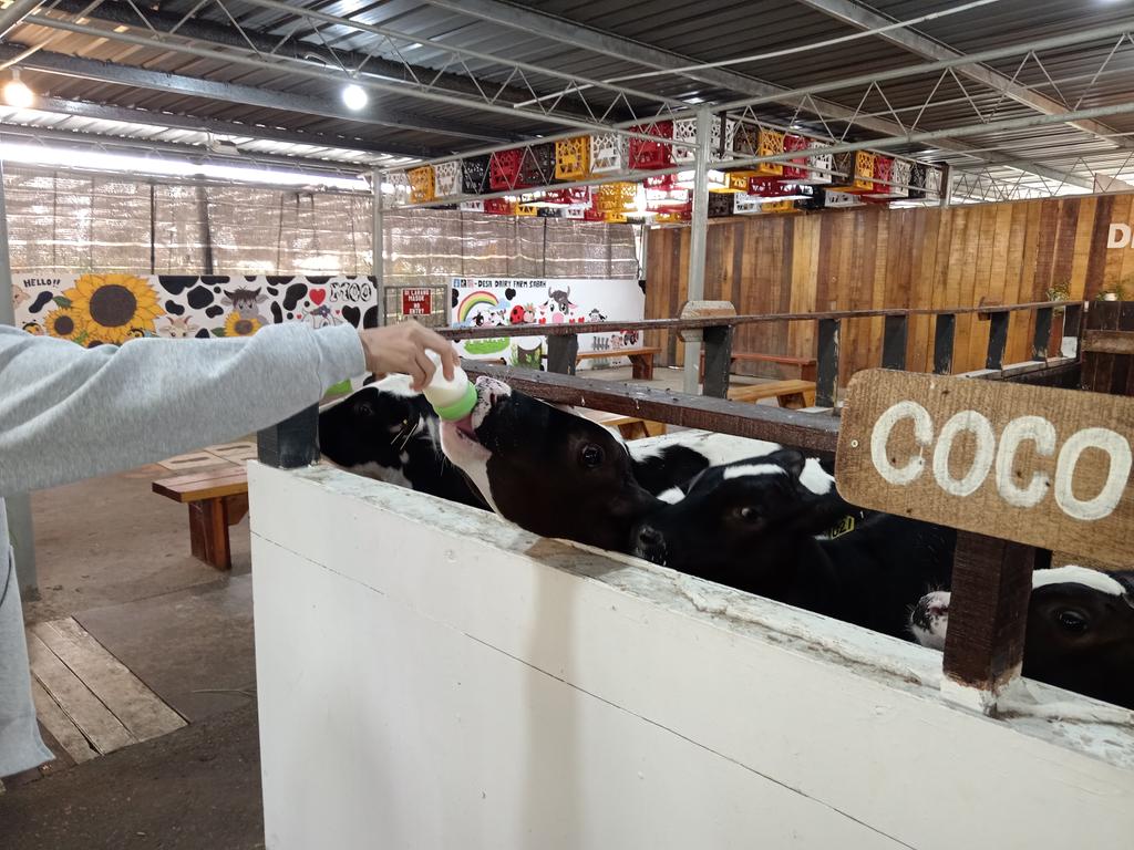 hellosnoopy tweet media