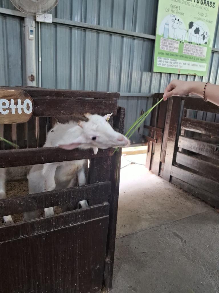 hellosnoopy tweet media