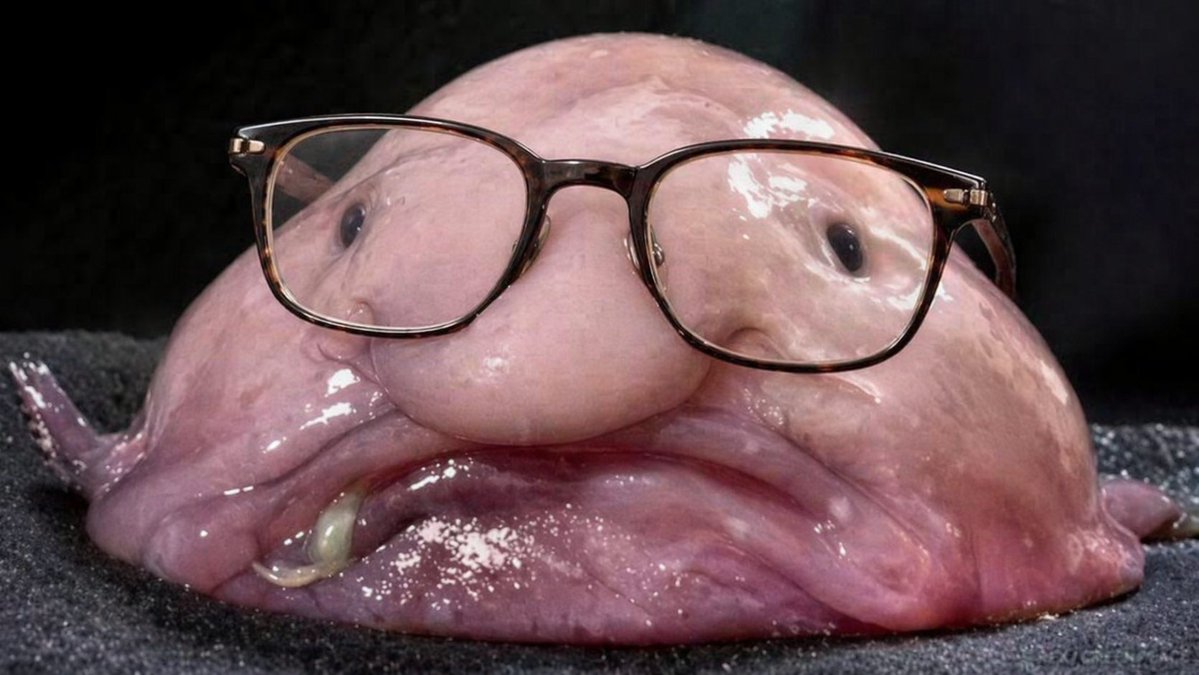 John W. Peters tweet media