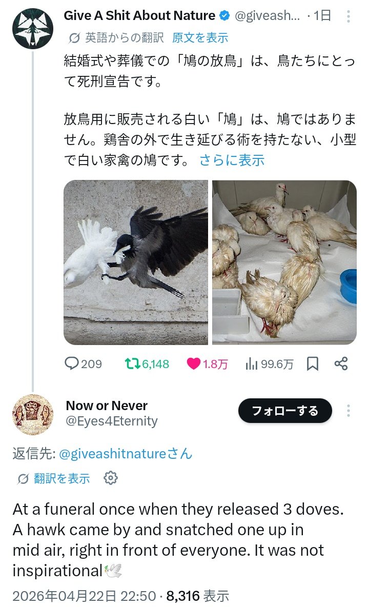 なんだこのクソ誤訳😒
hawkは鷹。ハチドリではない。
ハチドリ10cmは蜜食でありハト30〜35cmを食べないし、飛ぶハトを捕まえられるわけもない。
悲劇的な話が滑稽になり台無し。

ハチドリは hummingbird ね。
「この翻訳を評価」は当然👎️にしたけど、具体的に指摘できないシステムらしく歯がゆい。