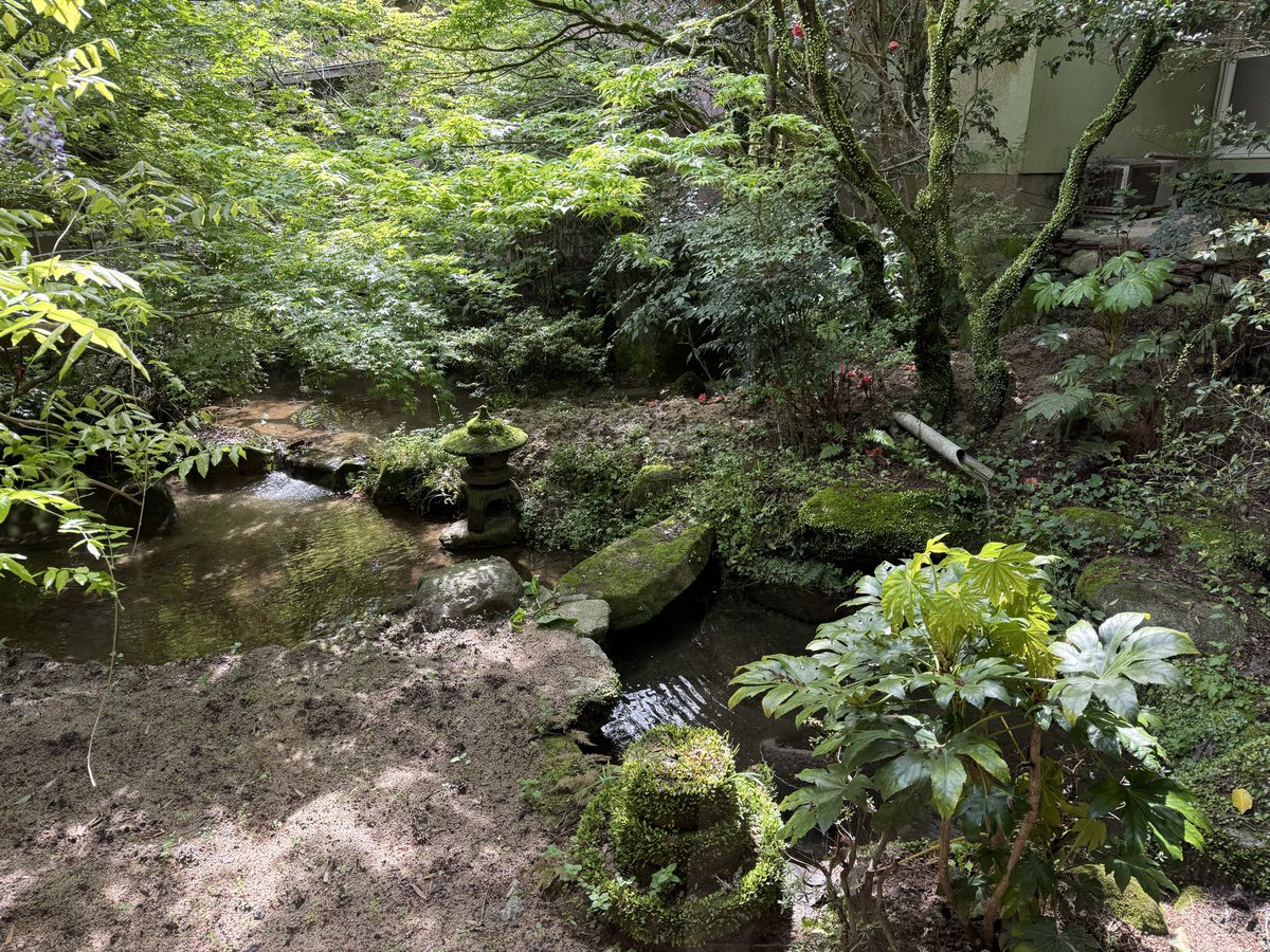 ko(東大バカⅢ類) tweet media