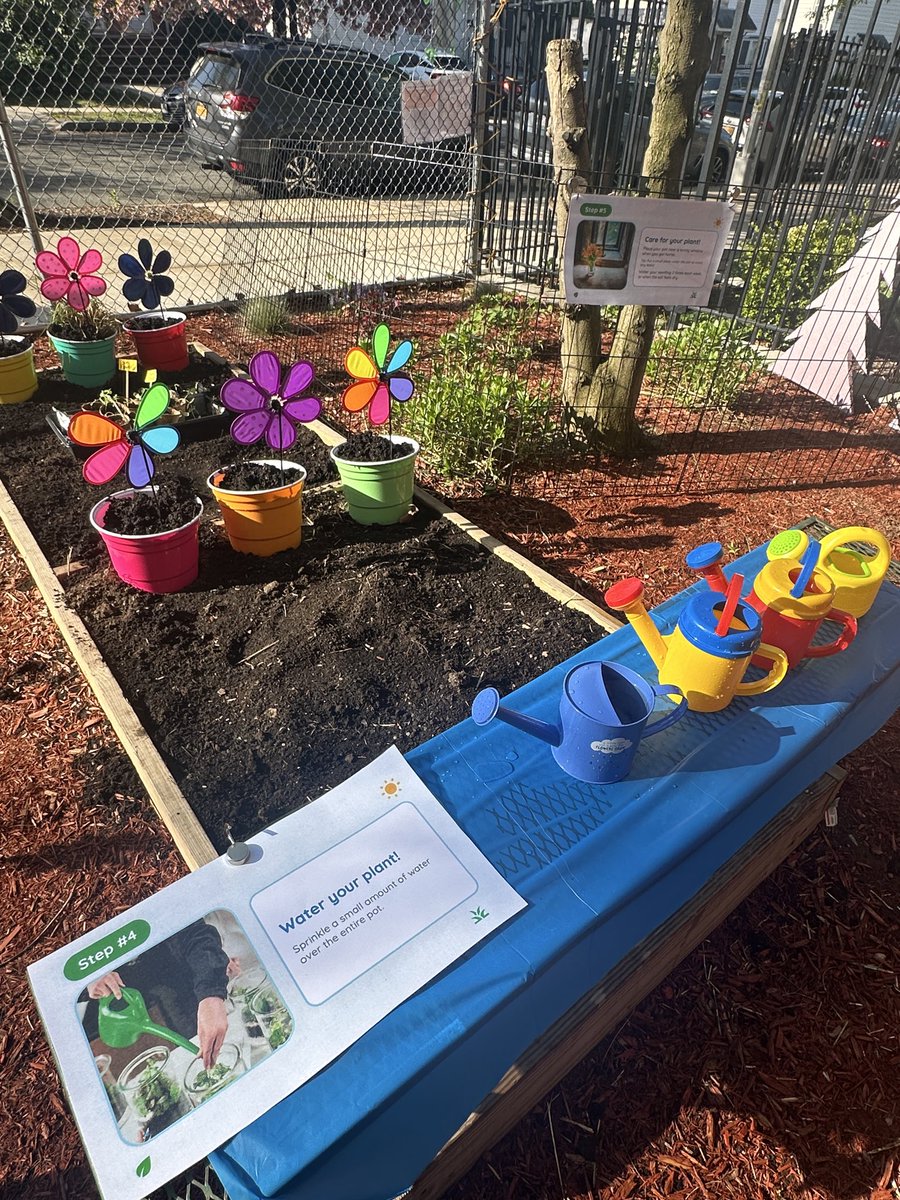 PS31Q's tweet photo. The children of PS31Q celebrated Earth day on this sunny day by planting sunflower seeds with Ms. Rice and @MsCindyPS31Q!  @D26Team @NYCSchools https://t.co/R4RZz3ykq0