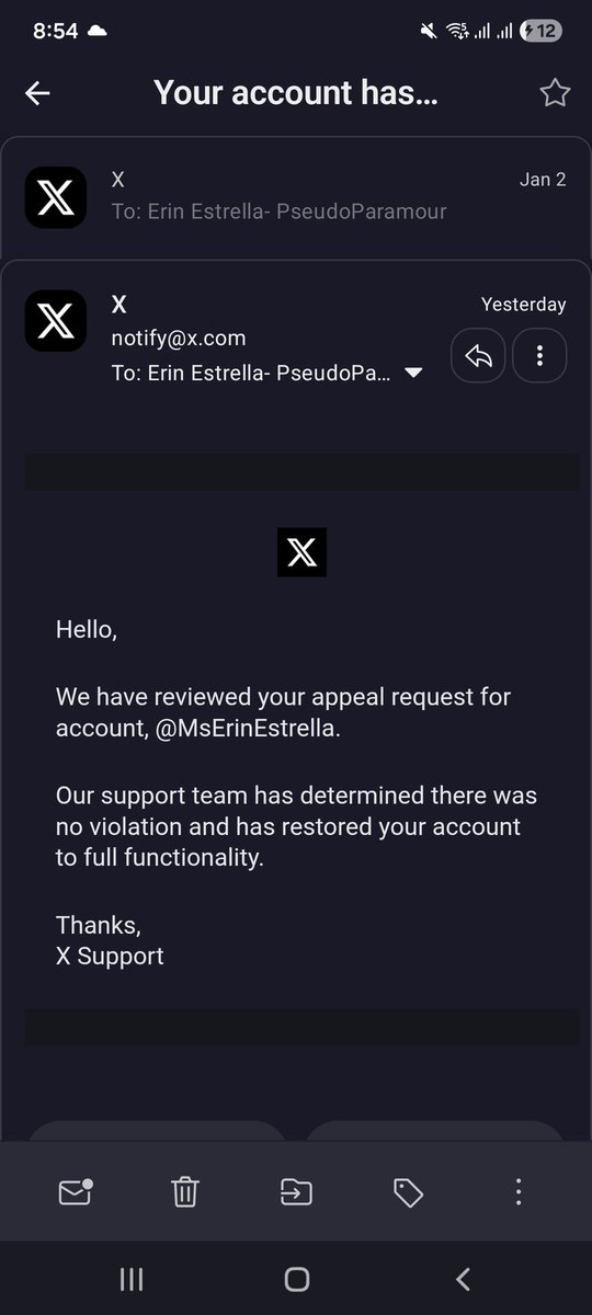 Erin Estrella- PseudoParamour tweet media