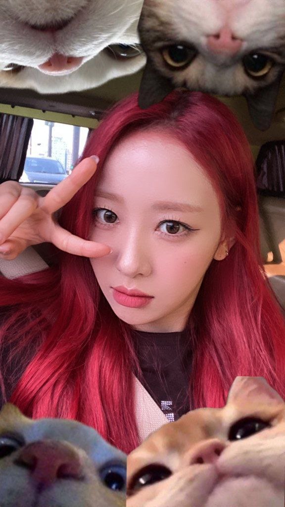 #LOONA #이달의소녀 ✨