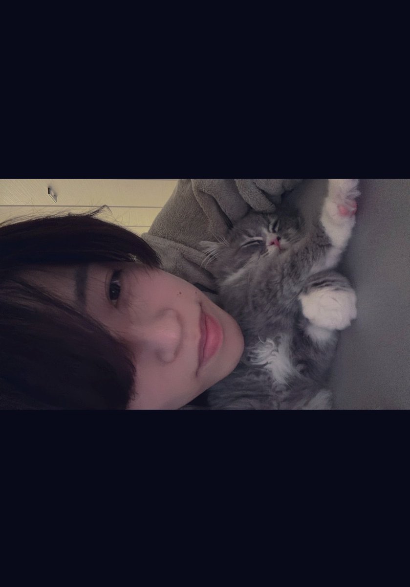 しっぽ tweet media