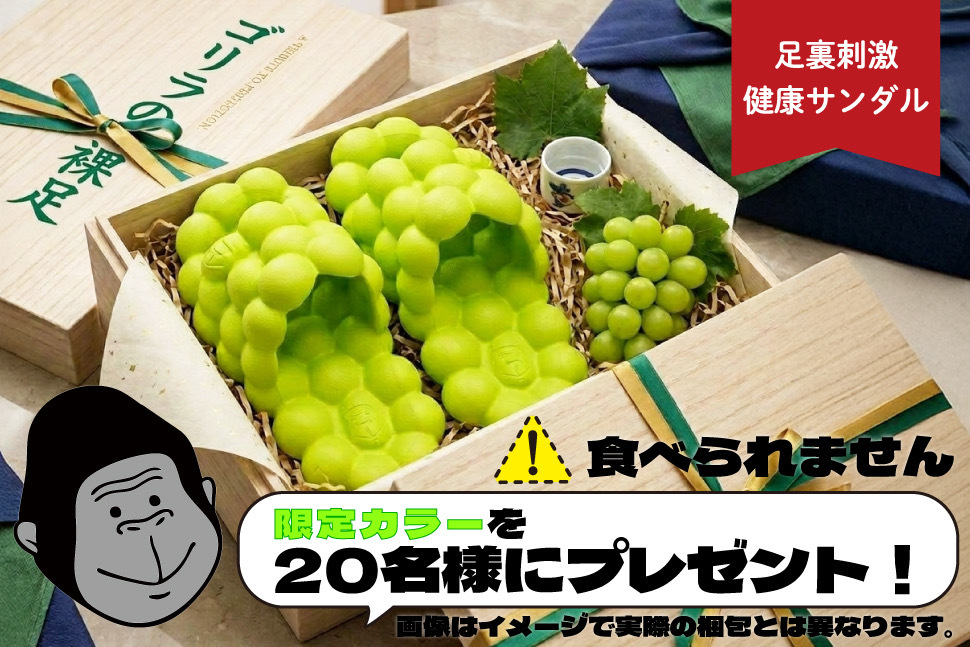 驚安の殿堂 ドン・キホーテ🐧 tweet media