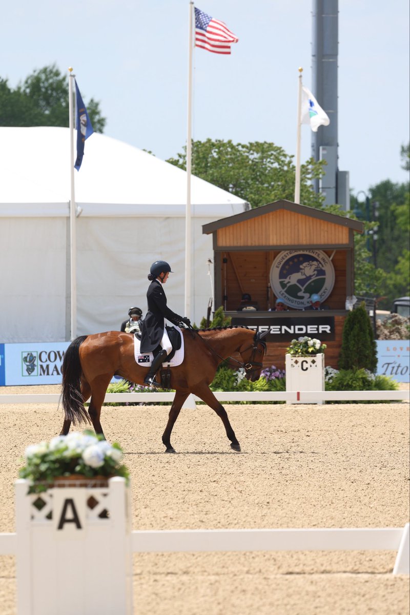 RRP_TBMakeover's tweet photo. Demos, dressage, and dapples, oh my! Thank you to our partners for a successful day 1 at #KY3DE 🐴 https://t.co/0hruJg927I