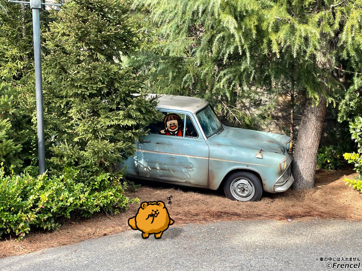 【公式】㈱フレンセル　IS事業部 tweet media