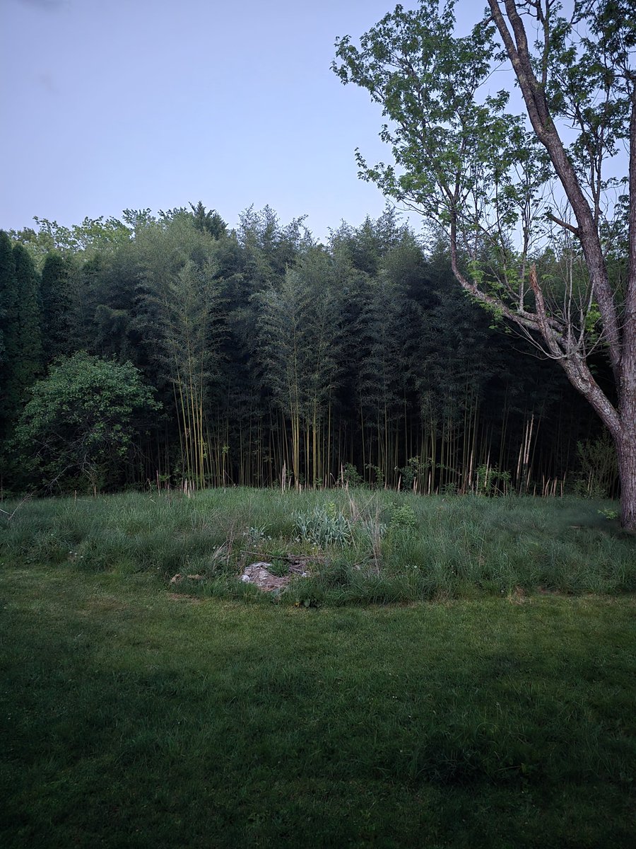 Ole Rusty Shackleferd tweet media