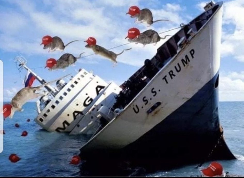 TPBlue 🇺🇸🦅 tweet media
