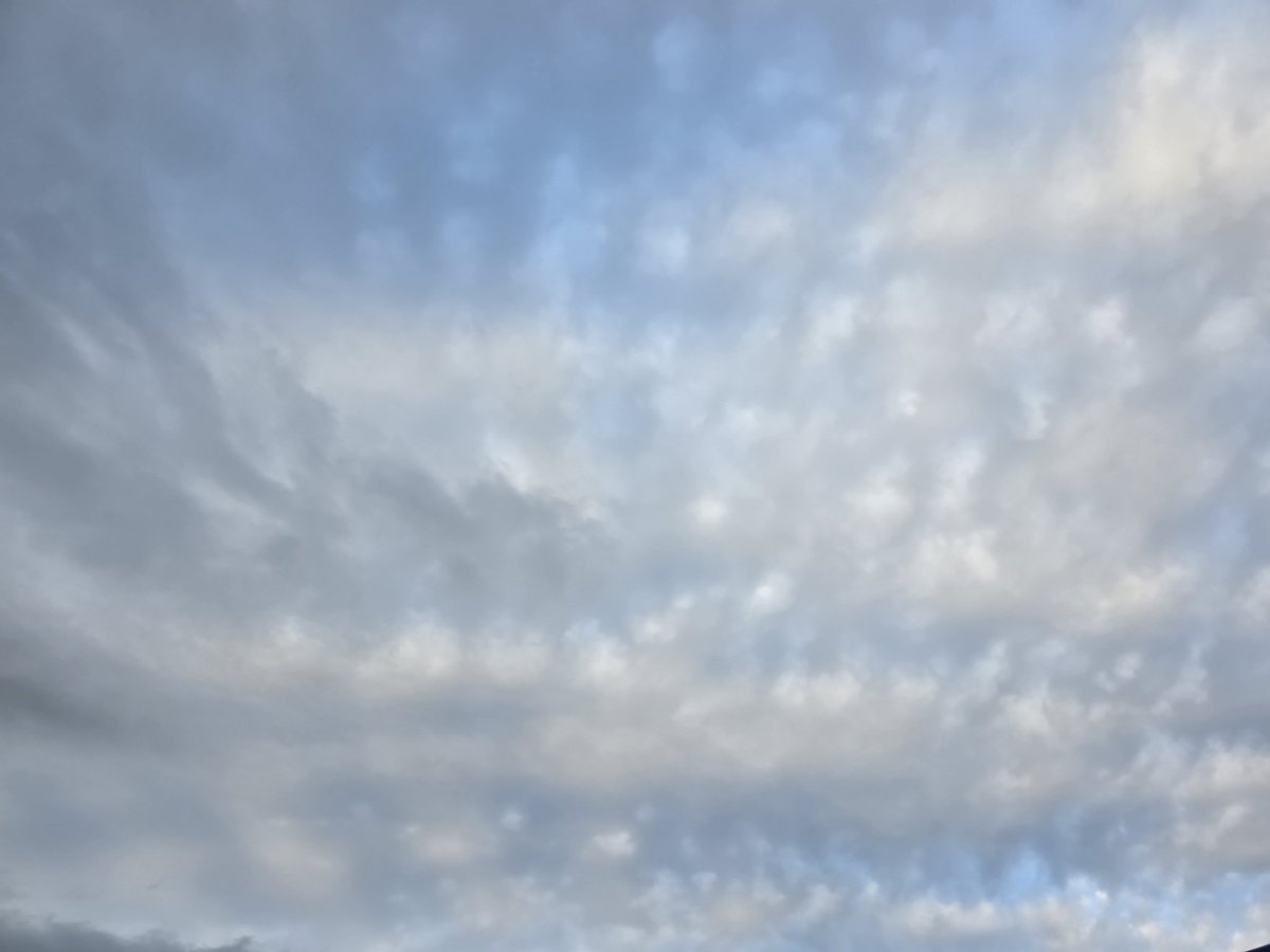 SOJU (hiatus) tweet media