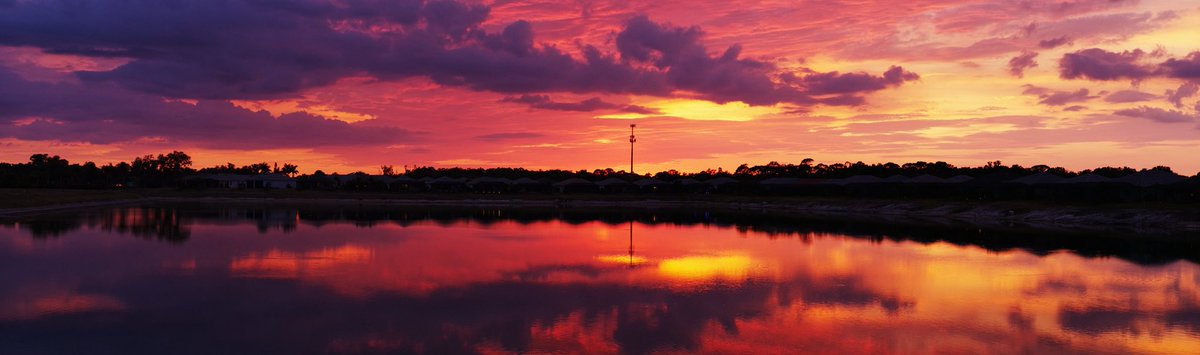 David K 🤔 tweet media