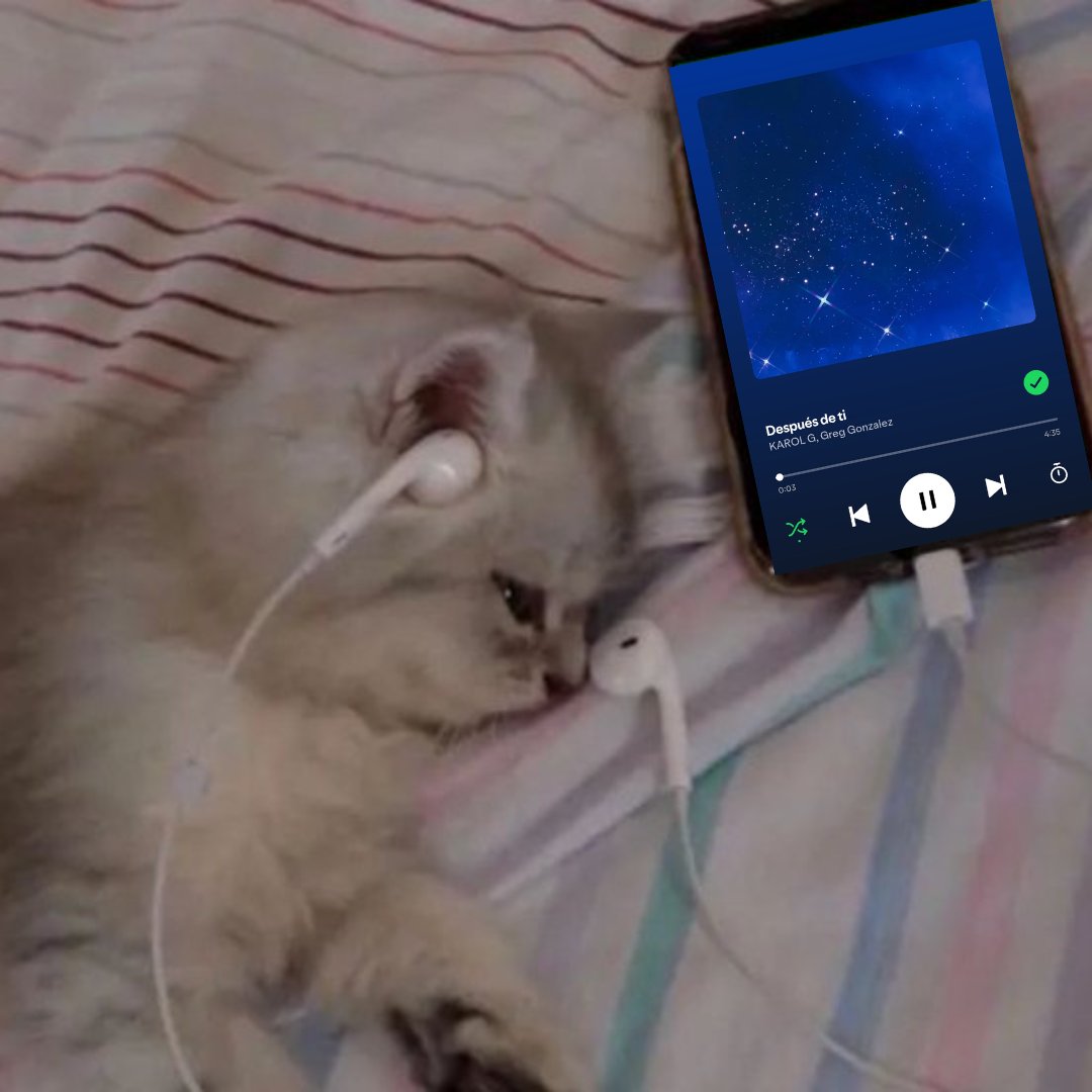 você está bem?
- eu estou sim! 

no fone:

KAROL G — Despues de Ti
━━━━⬤─────── 4:35
⇆           ◁     ||     ▷         ↺