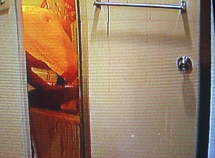 川松尚良 （ホラー監督/ゾンビコーディネート） tweet media