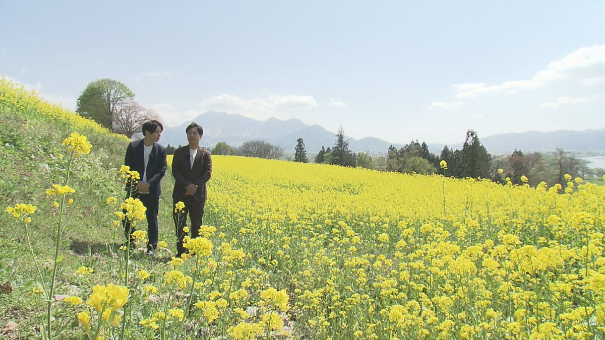 abn_tv's tweet photo. あす朝9:30 #駅テレマルシェ 
【GWにオススメ！お出かけ気分で絶品グルメ】

関西出身お笑い芸人 #ライオンロック の
#長峰悠也 さん #小林メイロ さんが初登場で初リポ👏

長峰さんゆかりの #長野市 安茂里の中華料理店🍜
#菜の花まつり 開催 #飯山市 の菜の花料理　etc…

中継は塩尻市 #チロルの森 https://t.co/3BDqO5nz0E