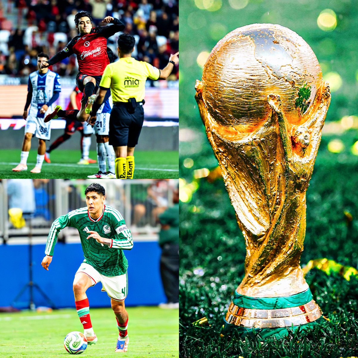 All Fútbol MX 🇲🇽 tweet media