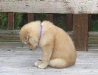 Snalupi⁷ NÃO vai ver o BTS tweet media