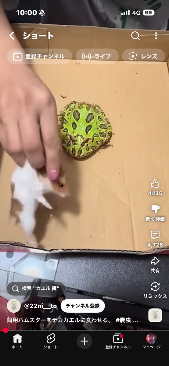 TUBASA7412's tweet photo. これもハムスターを虐待してる
同じ生き物飼育者としてはありえない行為 https://t.co/NTBeSa3Hei