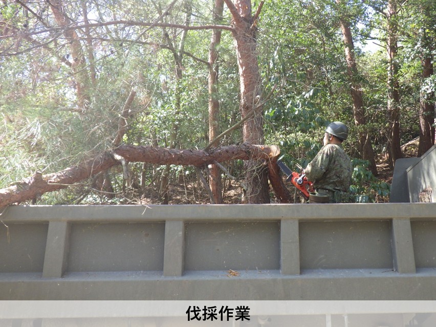 jgsdf_102EEq's tweet photo. @xserverjp 
＃第１０２施設器材隊 は、４月８日から約１０日間、長池演習場の整備を行いました。毎年２回演習場の訓練環境の改善と併せて、 #器材隊 の施設機械能力と若年隊員の施設技術の向上を図っています。免許取得したての隊員、新隊員や女性自衛官等隊員がそれぞれの任務を果たし、活躍しました https://t.co/Cpne5NBjjd