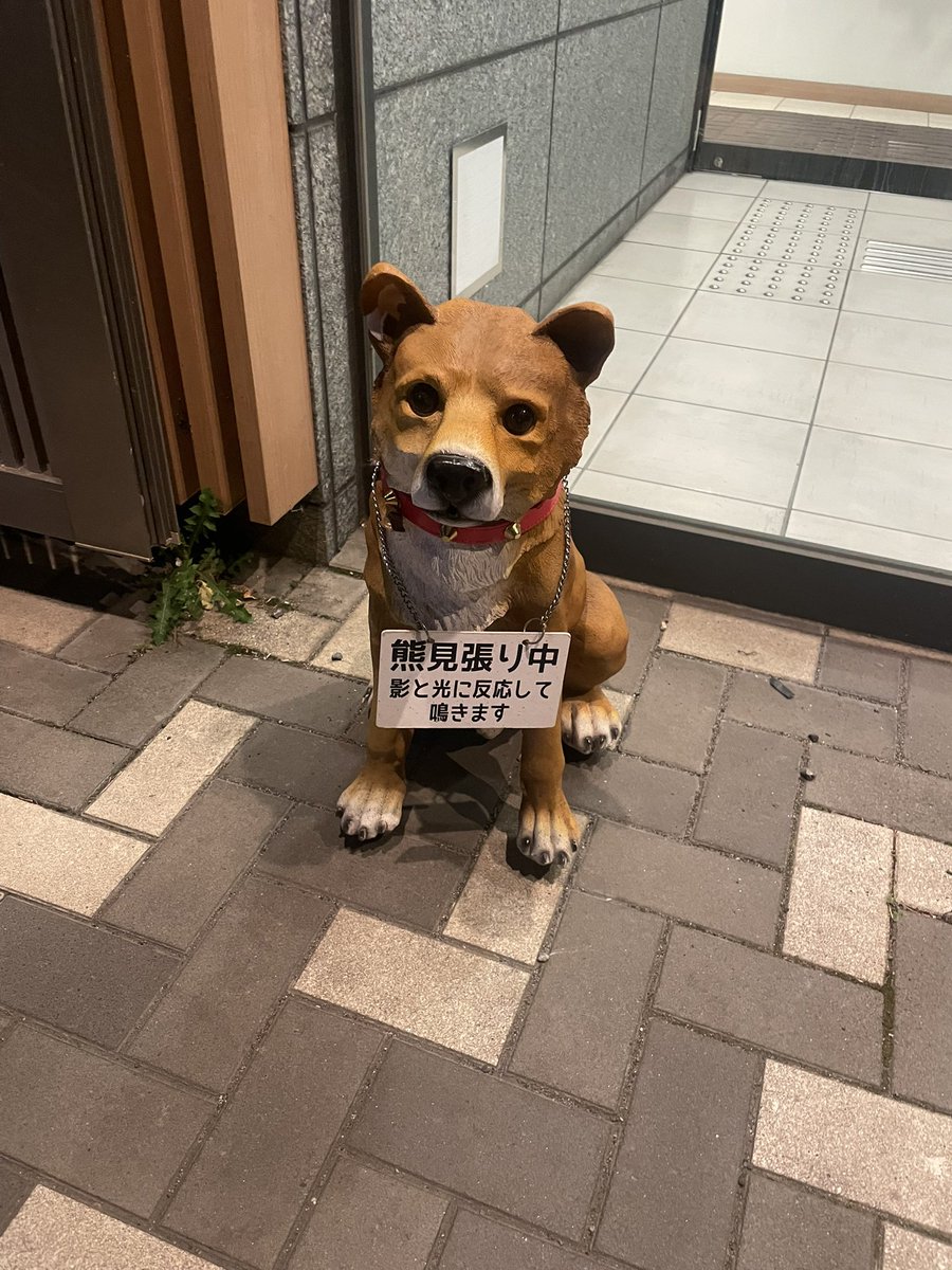 あこ tweet media