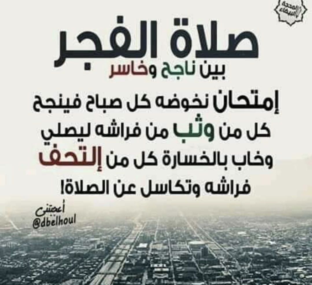 maghawri shinnawi tweet media