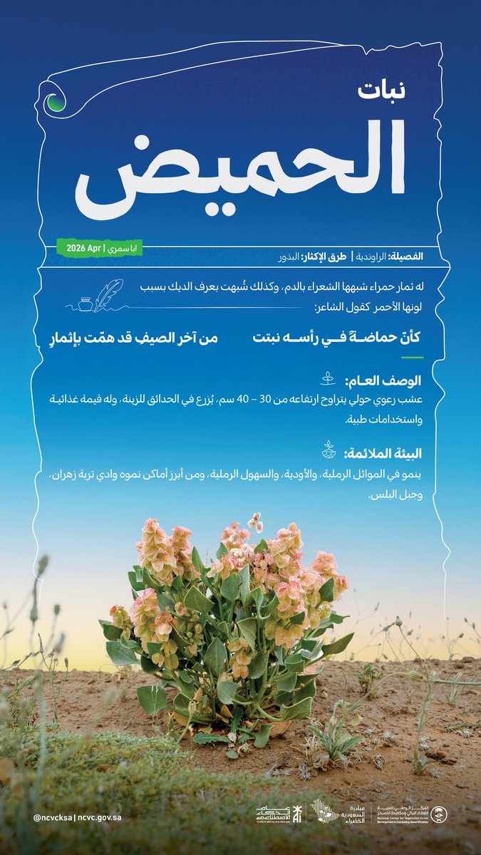 المركز الوطني لتنمية الغطاء النباتي ومكافحة التصحر tweet media