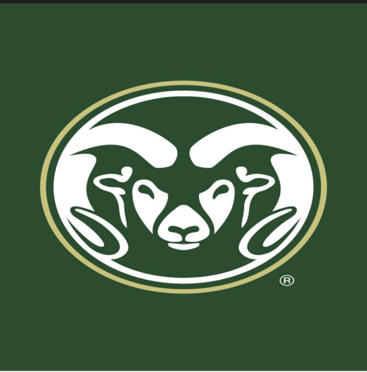 jason_jt3's tweet photo. #AGTG My first D1 offer #freshman from @CSUFootball ! Thank you @DHill39  for this amazing opportunity! 1♥️ @RedElephant_FB @RecruitTheG @CoachNickPopiel @CoachSB_4theG &amp; most importantly those who helps me on this journey past, present and future 🙏🏾 https://t.co/N1ojTTVK0i