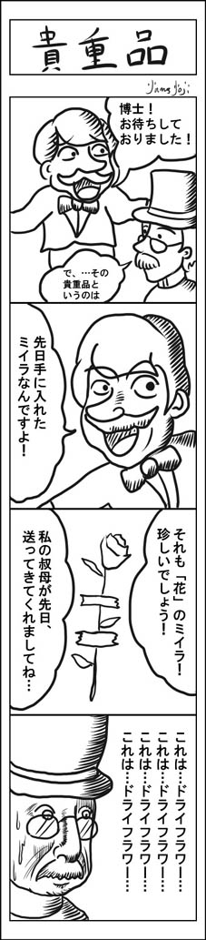 【植物学の日の4コマ】
#4コマ #4コマ漫画 