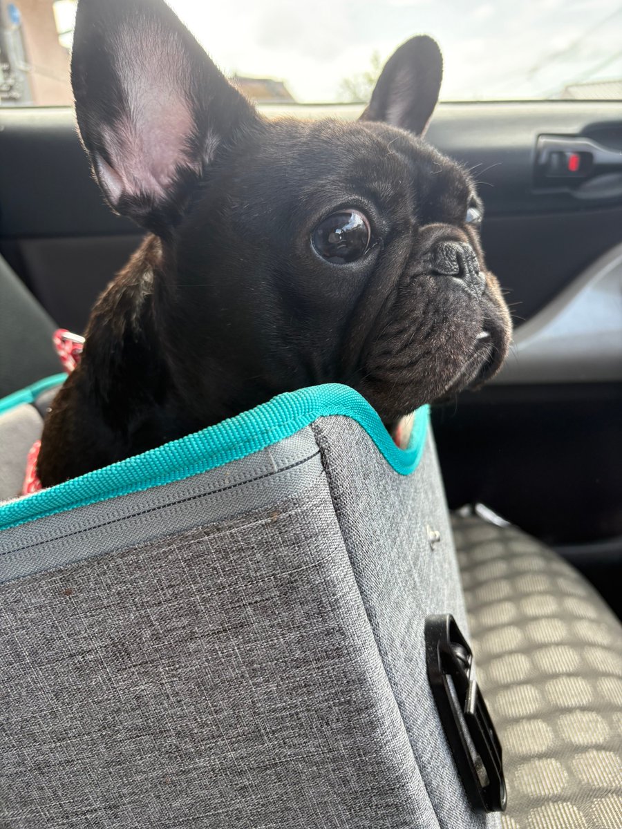 nono@buhi tweet media