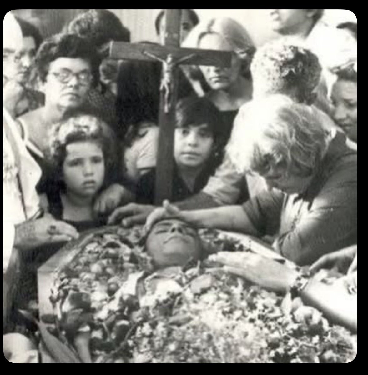 Fotos de Fatos tweet media