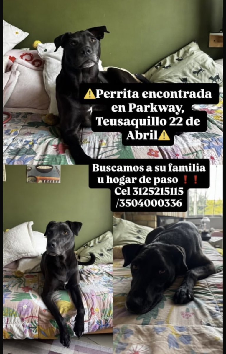 Karma Concepción… tweet media