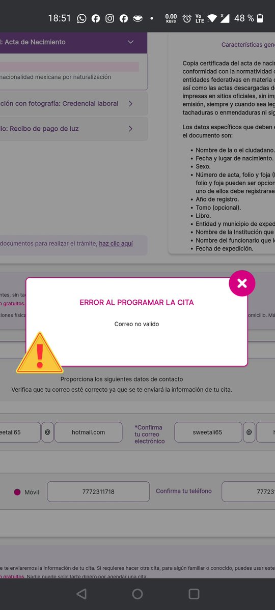 areli catalán tweet media