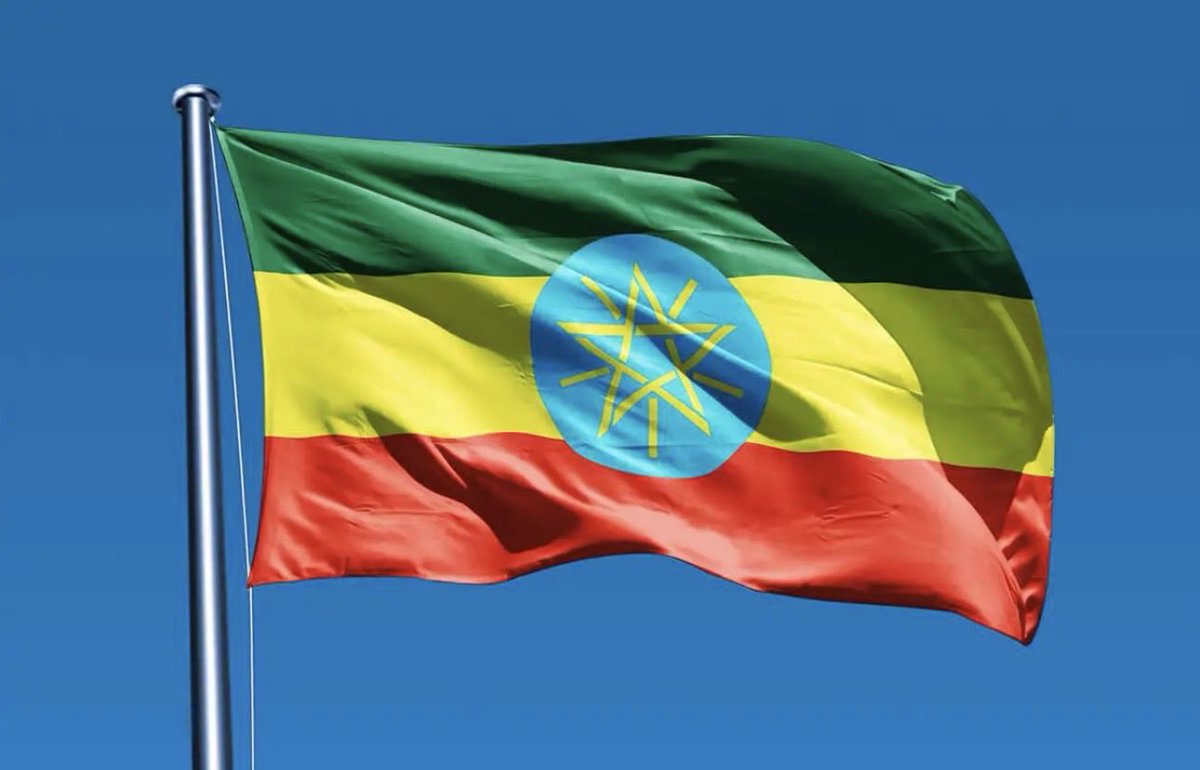 Firmaye ፊርማዬ Mallattoo koo🐞🇪🇹🇺🇸 tweet media