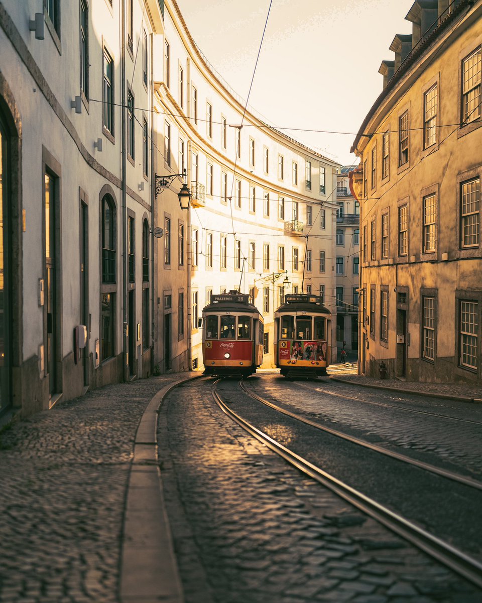 guillermo tweet media