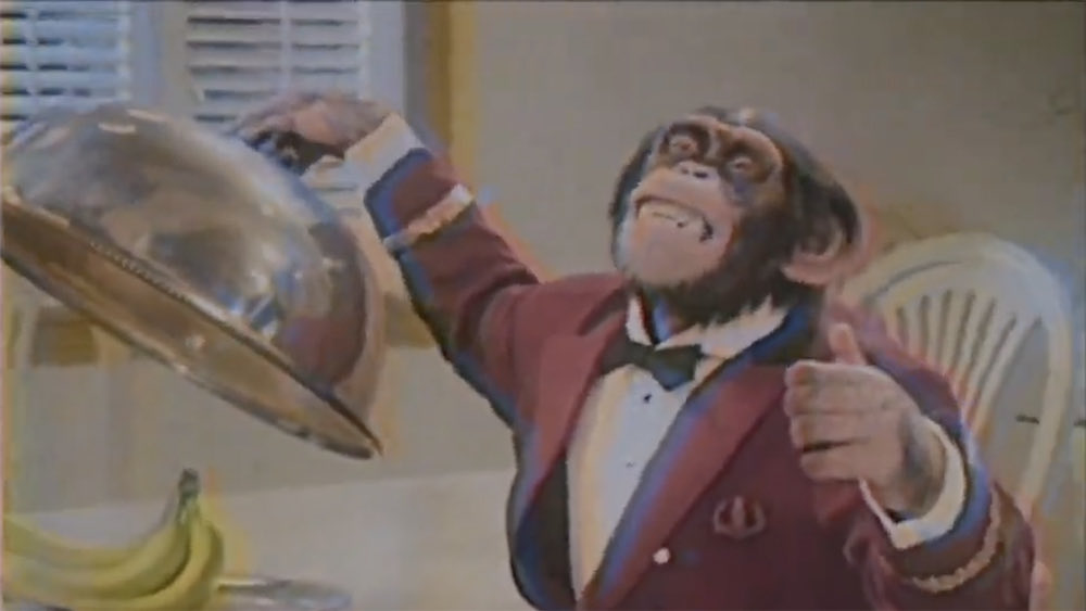 WillTheLandMan's tweet image. The reason we didn’t get a sequel for #SpeedRacer was they had to scrap an epilogue that was supposed to set up the next film but it was cut because of a horrible incident. This epilogue involved Chim Chim and the Racer motors family but the chimp actor snapped, attacked a grip,