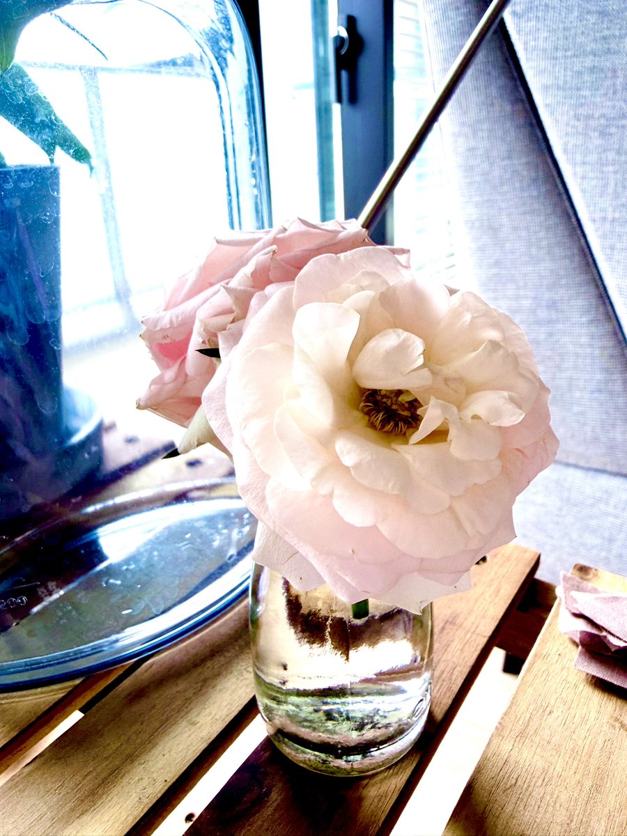 *:.｡. ℕ𝕒𝕥𝕤𝕦𝕞𝕚 .｡.:* tweet media