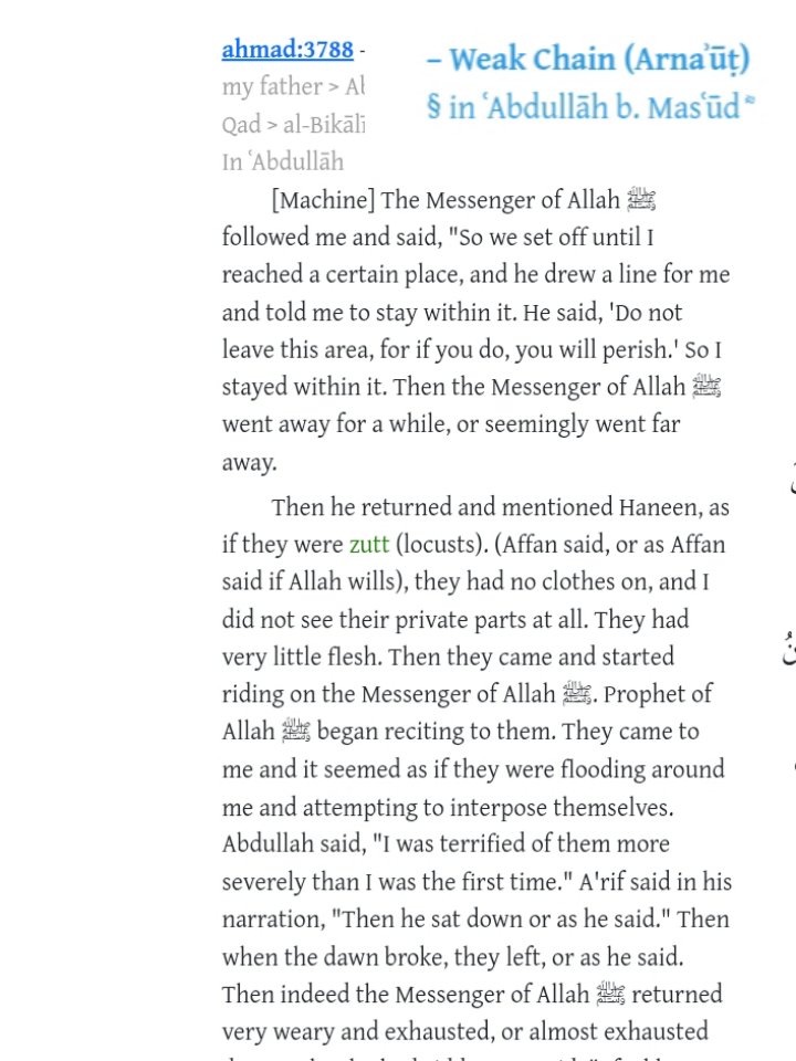 راكان tweet media