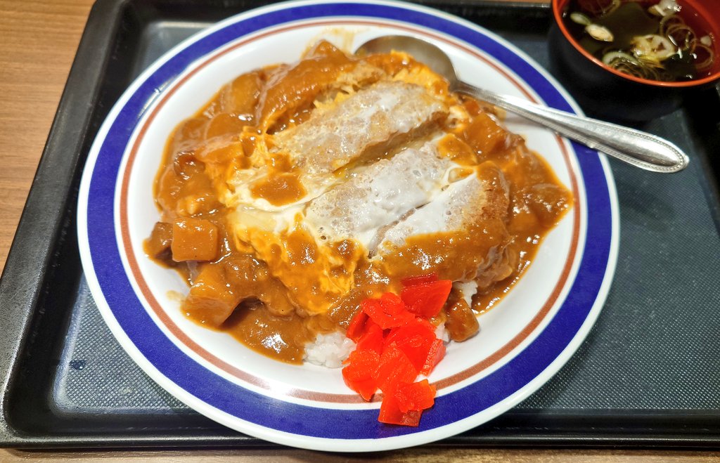 富士そばのカレーカツ丼、初めて食べたんだけど「20年前に利尻岳にペットボトル1本だけ持って登って下山中に喉の渇きと空腹の中で、降りたら何食べようかと頭の中でグルングルン出てきたカレーとカツ丼が合わさった馬鹿の走馬灯の食い物」とほぼ一致していて感動した。美味しかった。