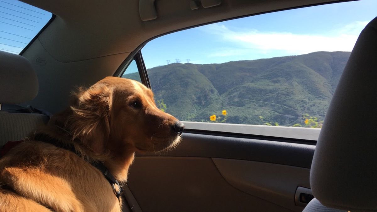 I think I am a lot  but I also think all of it is lovable