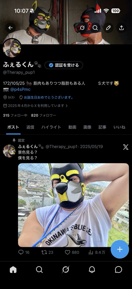 ふぇるくん🐾 tweet media