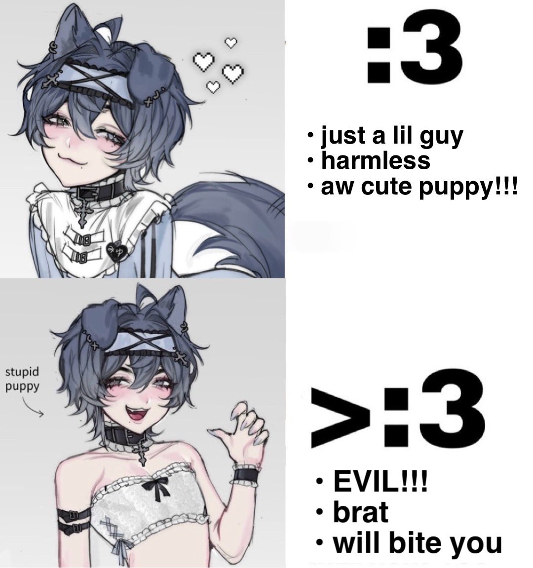miyu 🦭🐾 tweet media
