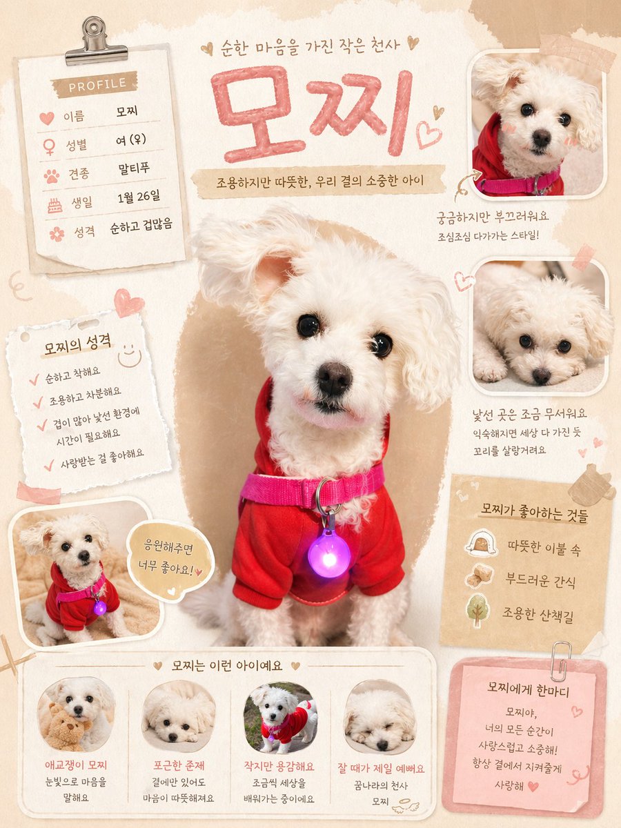 halosunny21's tweet image. 요즘 GPT로 이런 거 많이 하길래
우리 모찌도 포스터 하나 만들어봤어요 🐶

이거 보니까
아… 얘 진짜 순하고 겁많은 애 맞다 싶음ㅋㅋ

낯가리다가도
한 번 마음 열면 애교 폭발하는 타입 🤍

벌써 금요일이네요
다들 오늘 하루도 잘 버텨보자구요!!

여러분 집 애들은
순한 편 vs 활발한 편? 👀