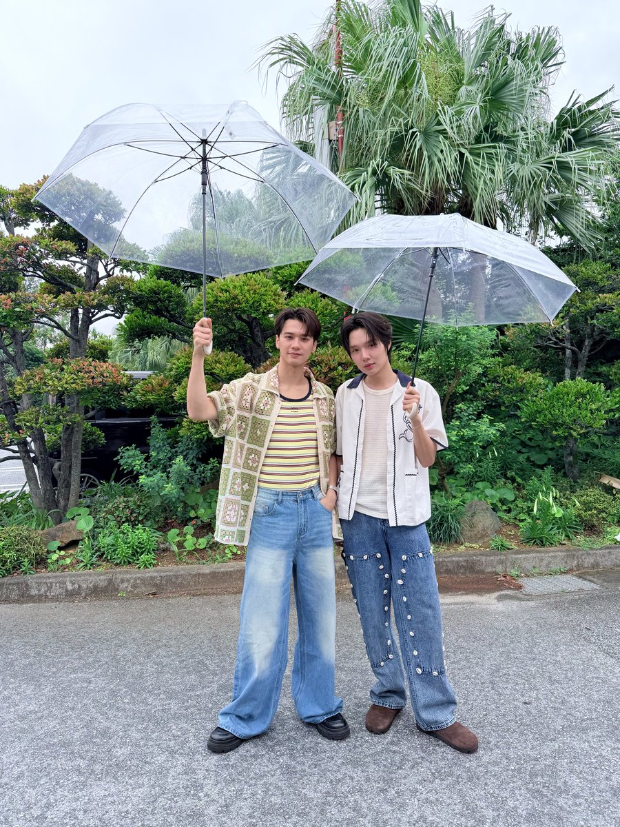 mami มามิ tweet media