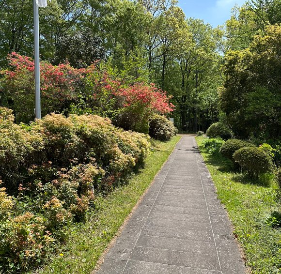 いわむらかずお絵本の丘美術館 tweet media