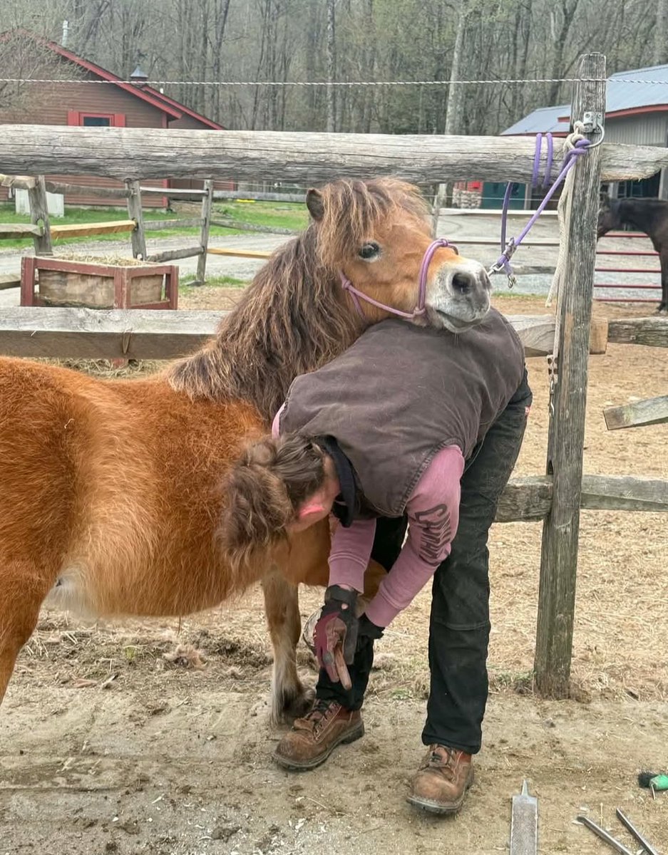 GerdasEquineRescue tweet media